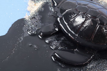 spills environmental cost